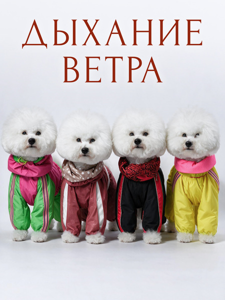 Дыхание ветра (2026)